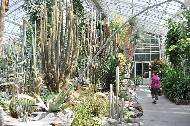 Muenchen 2011 478.jpg - München Botanischer Garten